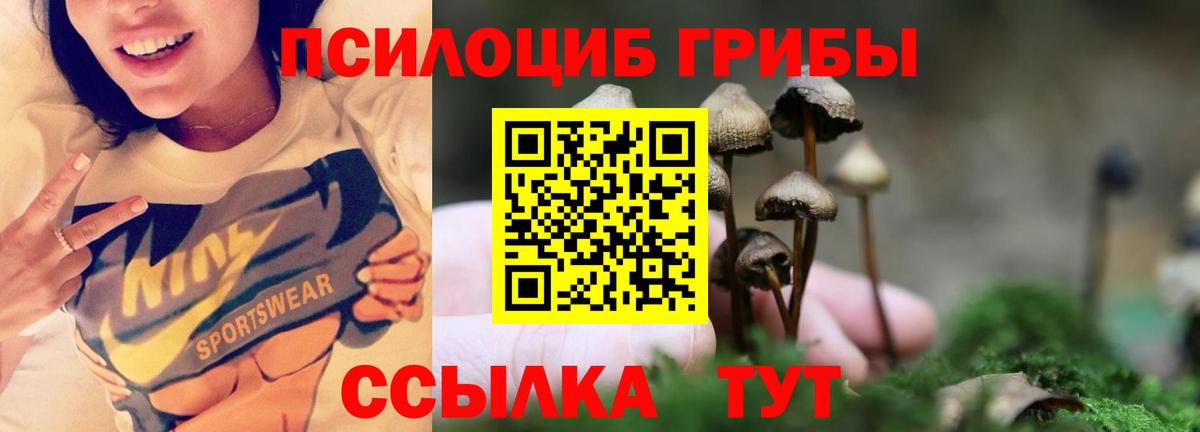 Галлюциногенные грибы мухоморы Вышний Волочёк